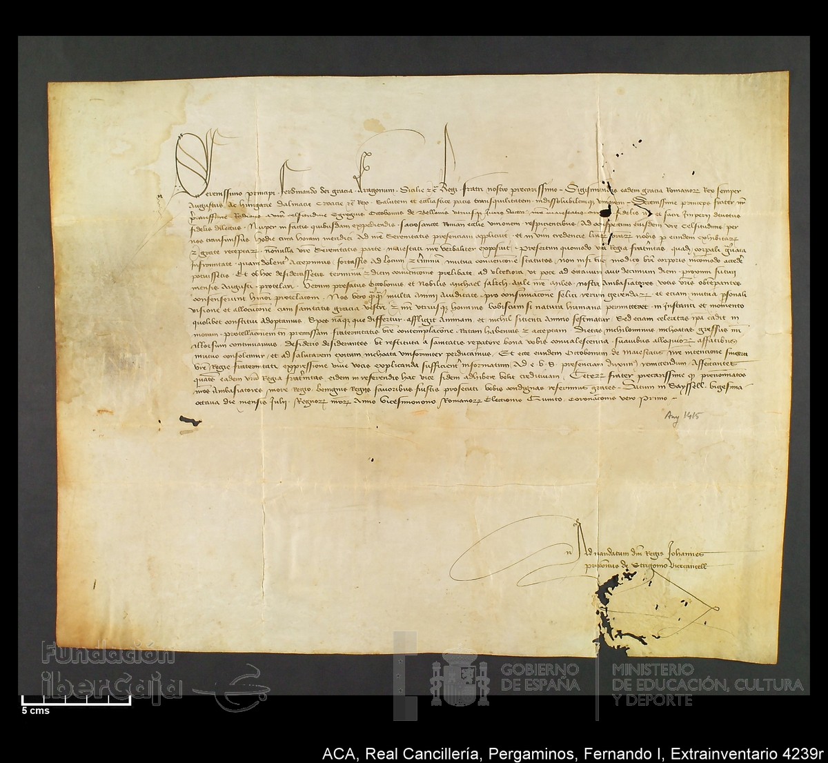 Carp.339,Extrainv. n4239r