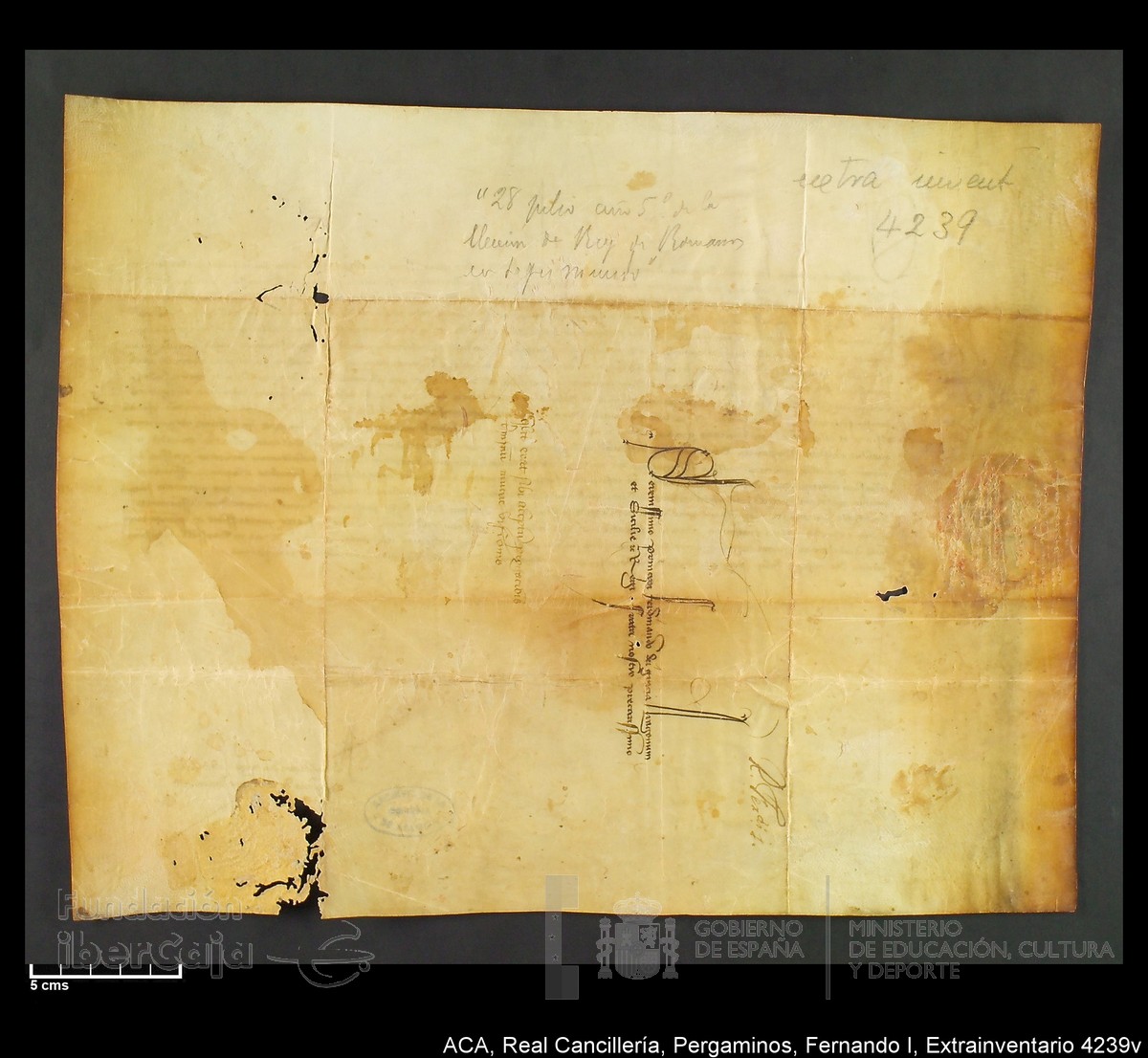 Carp.339,Extrainv. n4239v