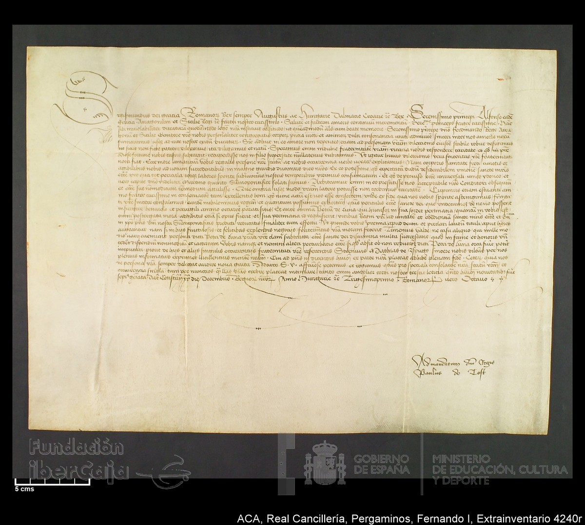 Carp.339,Extrainv. n4240r