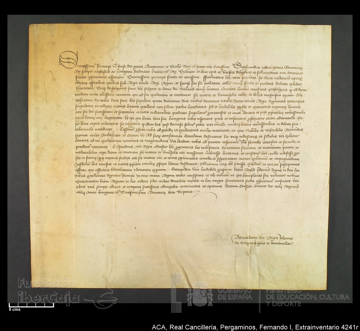 Carp.339,Extrainv. n4241r