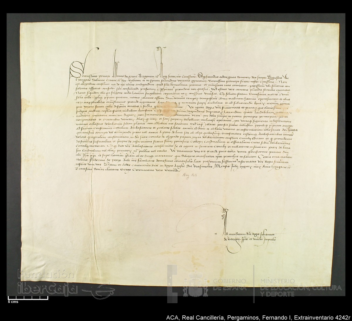 Carp.339,Extrainv. n4242r