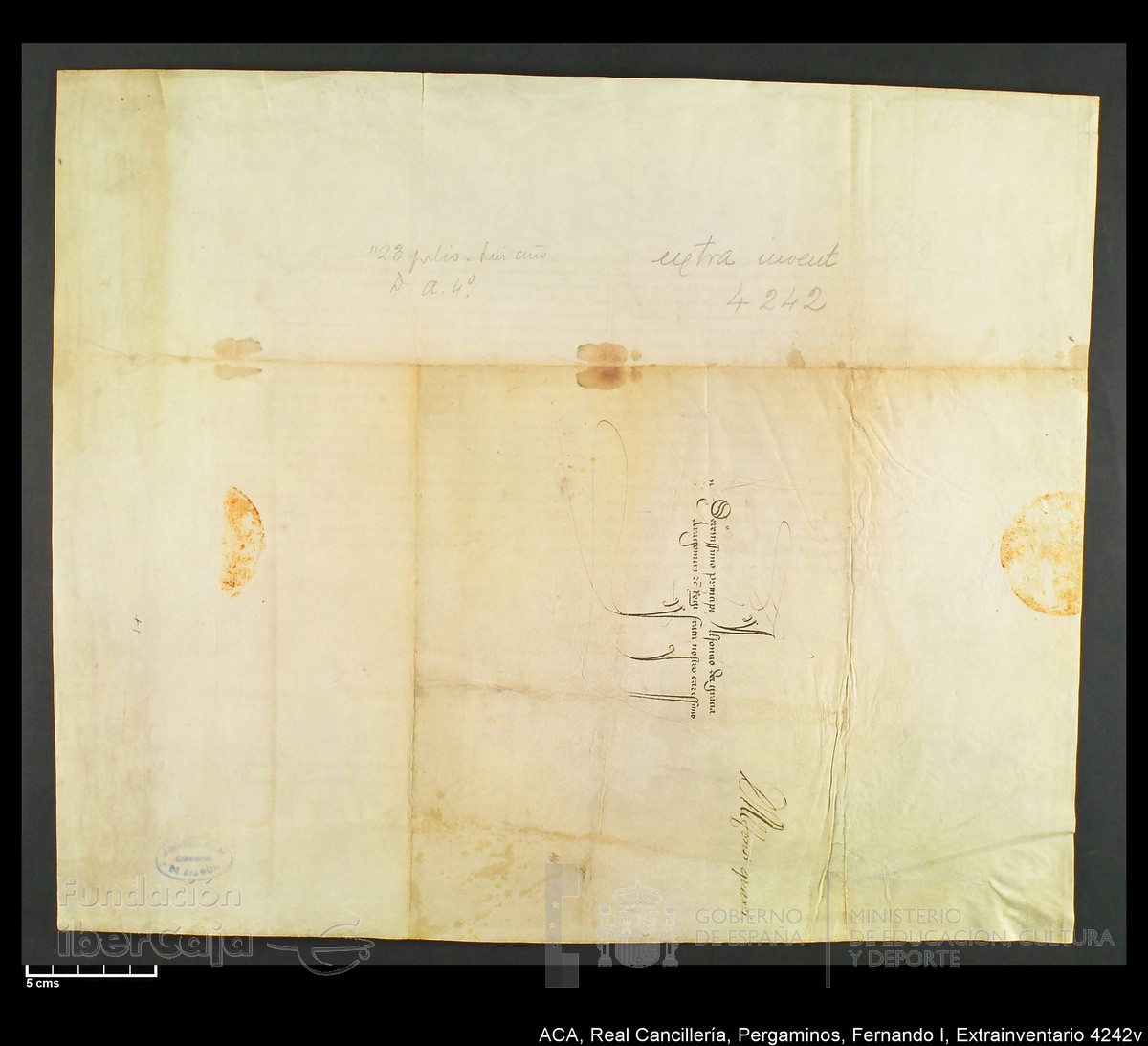 Carp.339,Extrainv. n4242v