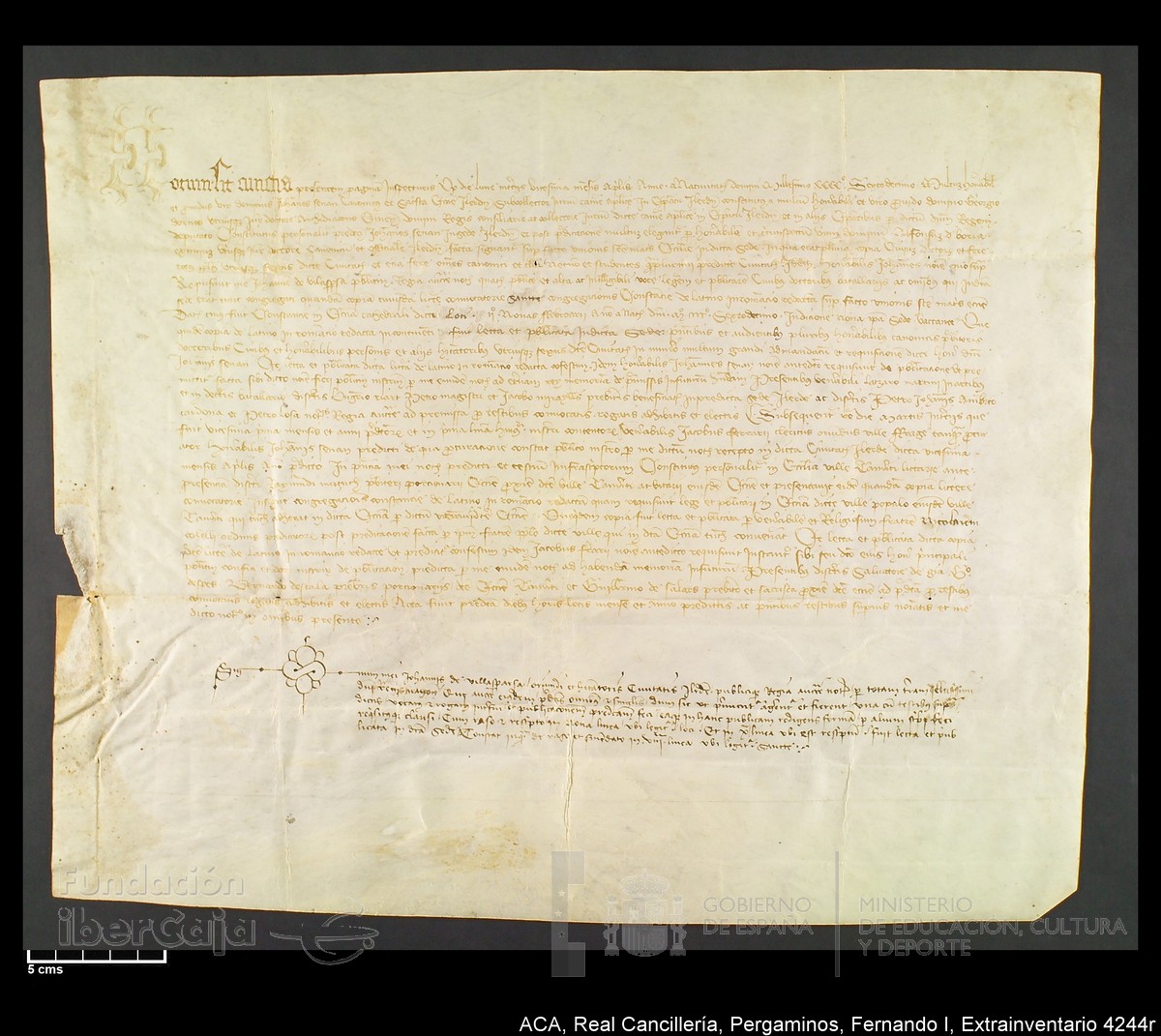 Carp.339,Extrainv. n4244r