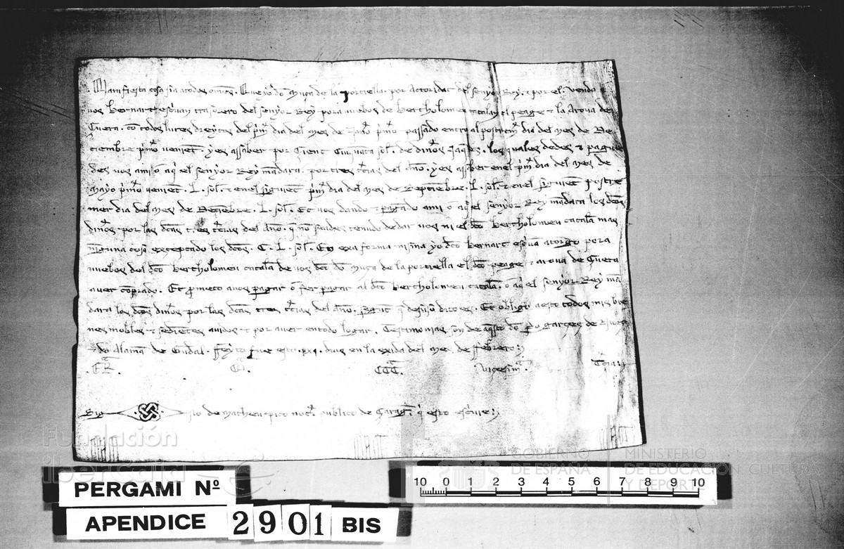 Carp.117,apnd.1,n2901bis r