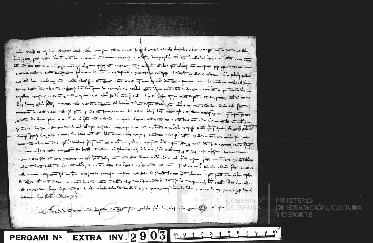 Carp.117,ap�nd.1,n�2903r