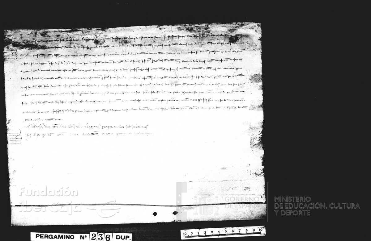 Carp.123,n�236dupl. r