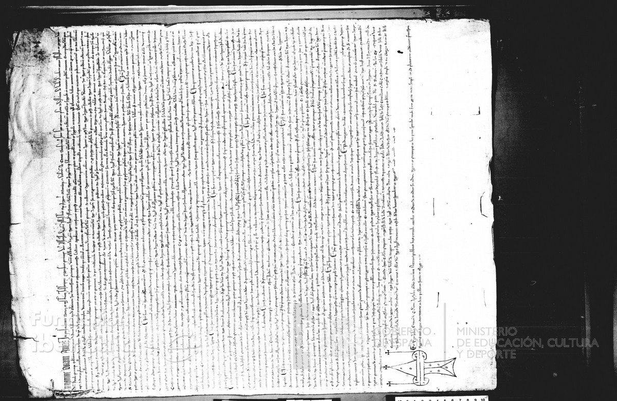 Carp.123,n�242dupl. r