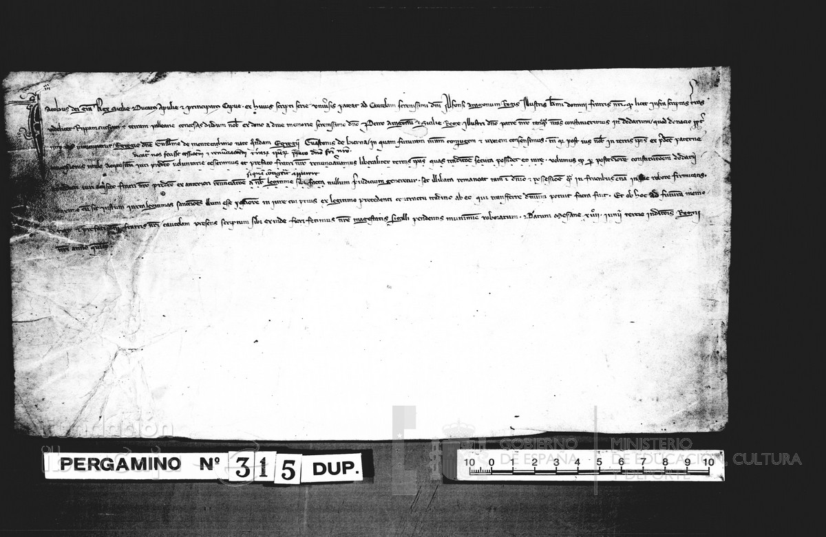 Carp.125,n�315dupl. r