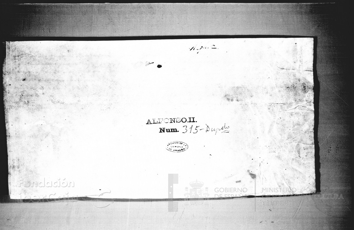 Carp.125,n�315dupl. v