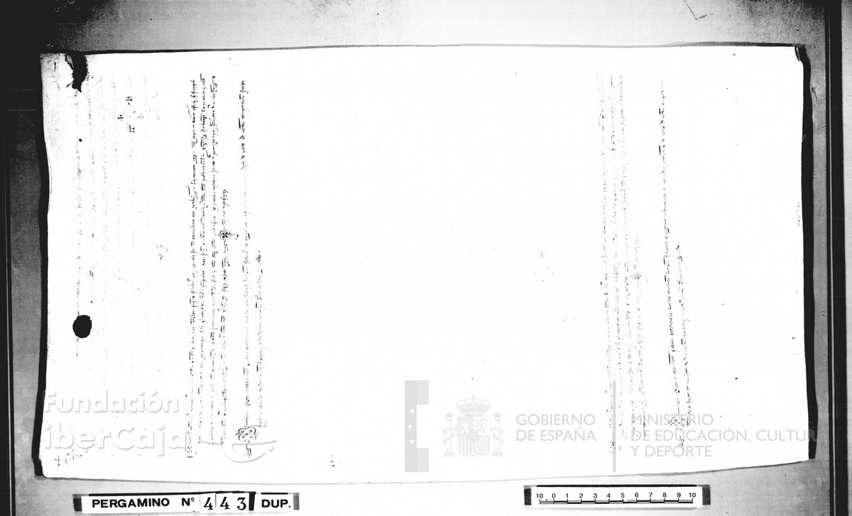 Carp.128,n�443dupl r