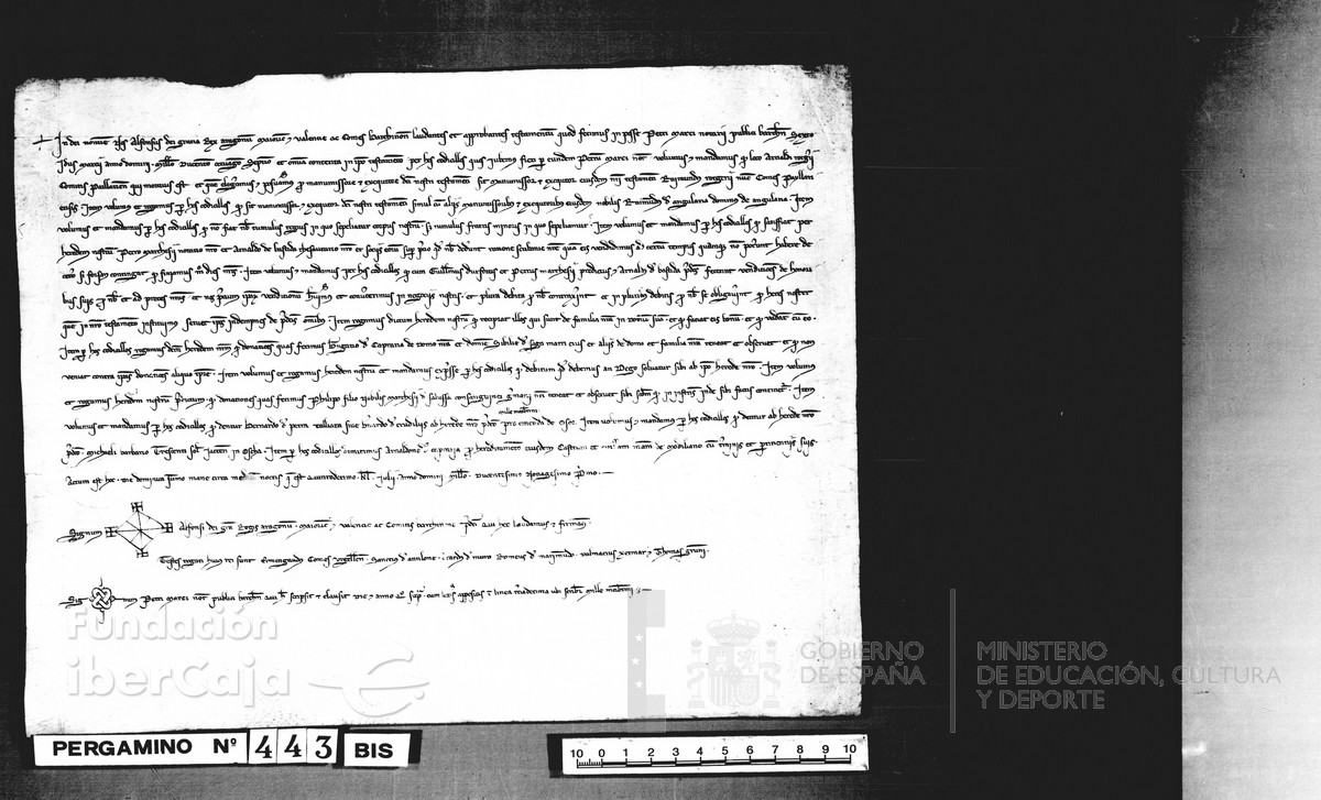 Carp.128,n�443bis r