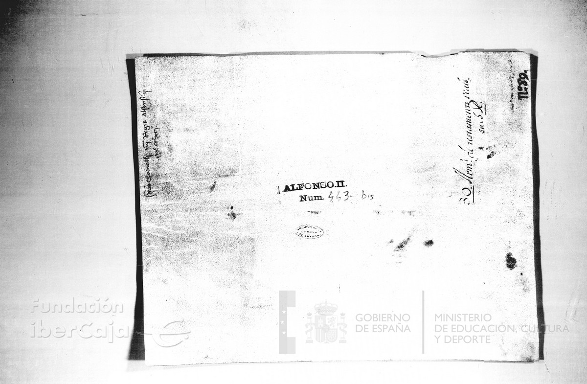 Carp.128,n�443bis v