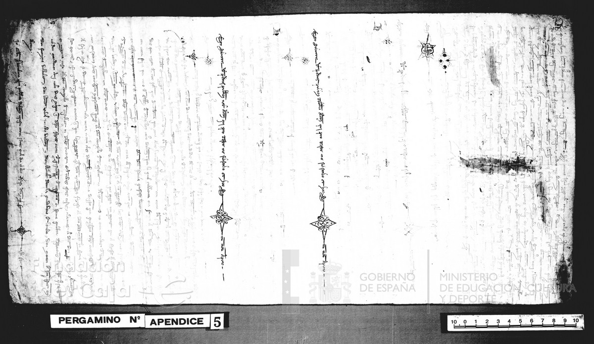 Carp.128,ap�nd.n�5r