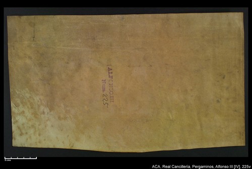 Cancillería,pergaminos,Alfonso_IV,carp.219,nº225/ Concesión. (21-07-1328)