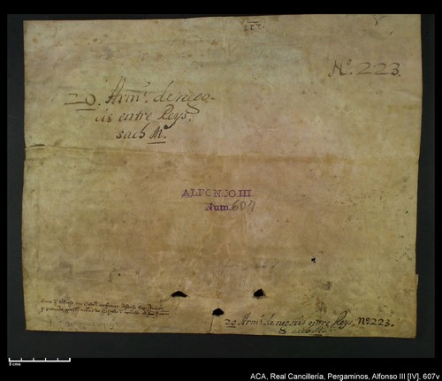 Cancillería,pergaminos,Alfonso_IV,carp.227,nº607/ Carta de concesión. (13-01-1331)