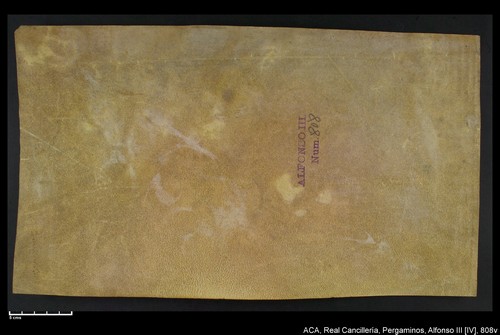 Cancillería,pergaminos,Alfonso_IV,carp.231,nº808/ Nombramiento. (11-05-1334)