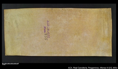 Cancillería,pergaminos,Alfonso_IV,carp.232,nº855/ Concesión. (22-03-1334)