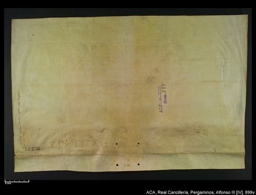Cancillería,pergaminos,Alfonso_IV,carp.232,nº899/ Concesión. (24-10-1335)