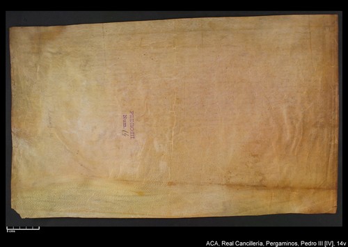Cancillería,pergaminos,Pedro_IV,carp.235,nº14/ Concesión. (13-04-1336)