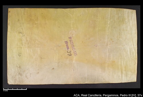 Cancillería,pergaminos,Pedro_IV,carp.235,nº37/ Carta de homenaje. (23-05-1336)
