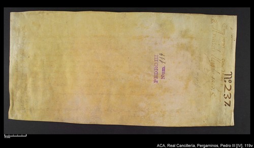 Cancillería,pergaminos,Pedro_IV,carp.237,nº119/ Carta de nombramiento. (19-6-1336)