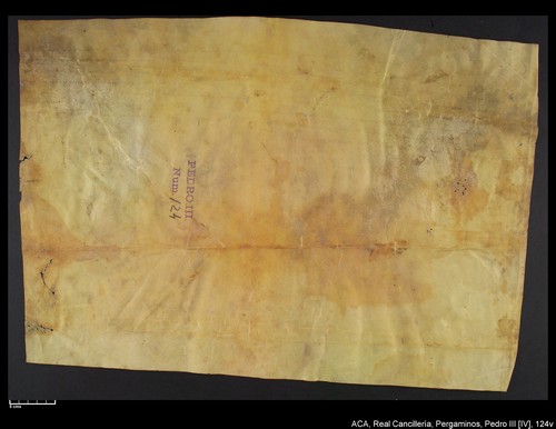 Cancillería,pergaminos,Pedro_IV,carp.237,nº124/ Carta de licencia. (25-6-1336)