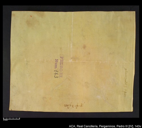 Cancillería,pergaminos,Pedro_IV,carp.237,nº143/ Carta de nombramiento. (26-08-1336)