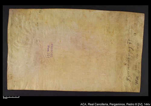 Cancillería,pergaminos,Pedro_IV,carp.237,nº144/ Mandato. (30-08-1336)