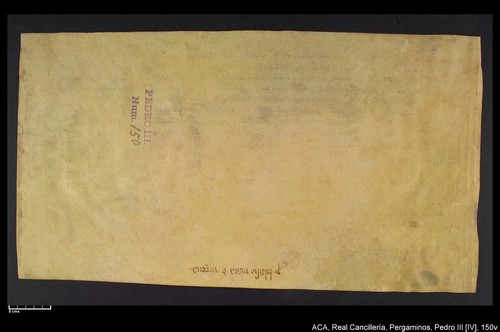 Cancillería,pergaminos,Pedro_IV,carp.237,nº150/ Carta de nombramiento. (3-09-1336)