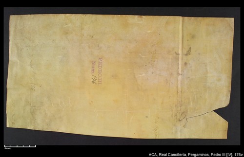 Cancillería,pergaminos,Pedro_IV,carp.238,nº176/ Época de Pedro IV. (4-10-1336)