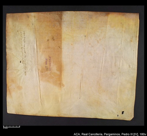 Cancillería,pergaminos,Pedro_IV,carp.238,nº180/ Época de Pedro IV. (6-10-1336)