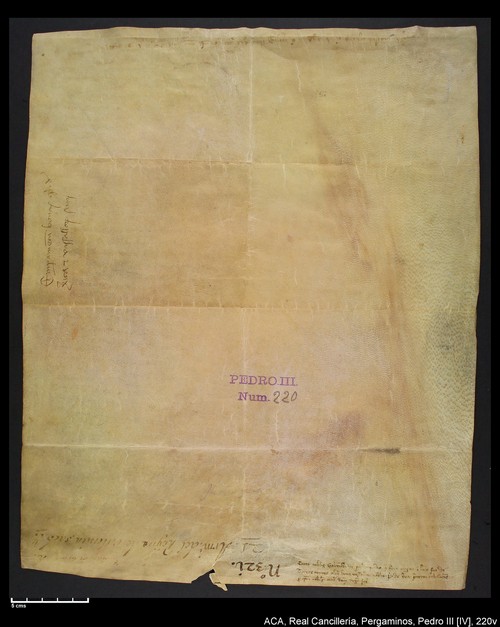 Cancillería,pergaminos,Pedro_IV,carp.239,nº220/ Época de Pedro IV. (21-12-1336)