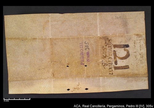 Cancillería,pergaminos,Pedro_IV,carp.241,nº305/ Época de Pedro IV. (1-11-1337)