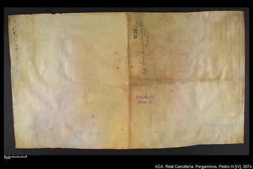 Cancillería,pergaminos,Pedro_IV,carp.241,nº307/ Época de Pedro IV. (29-10-1337)