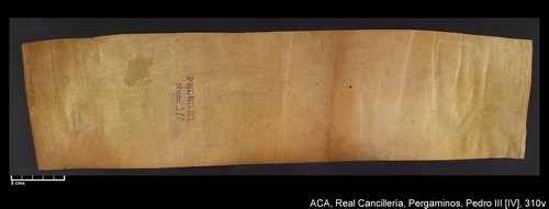 Cancillería,pergaminos,Pedro_IV,carp.241,nº310/ Época de Pedro IV. (1-11-1337)