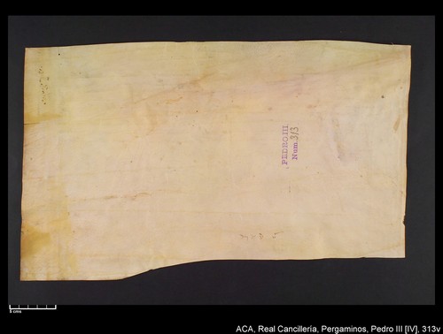 Cancillería,pergaminos,Pedro_IV,carp.241,nº313/ Época de Pedro IV. (21-11-1337)