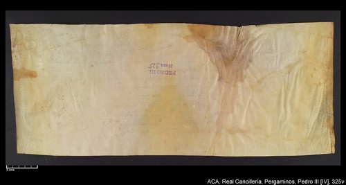 Cancillería,pergaminos,Pedro_IV,carp.241,nº325/ Época de Pedro IV. (02-1337)