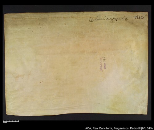 Cancillería,pergaminos,Pedro_IV,carp.241,nº345/ Época de Pedro IV. (24-04-1338)