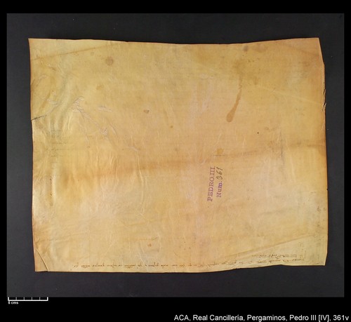 Cancillería,pergaminos,Pedro_IV,carp.242,nº361/ Época de Pedro IV. (10-07-1338)