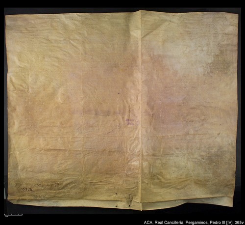 Cancillería,pergaminos,Pedro_IV,carp.242,nº365/ Época de Pedro IV. (21-07-1338)