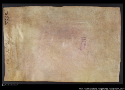Cancillería,pergaminos,Pedro_IV,carp.242,nº383/ Época de Pedro IV. (2-12-1338)