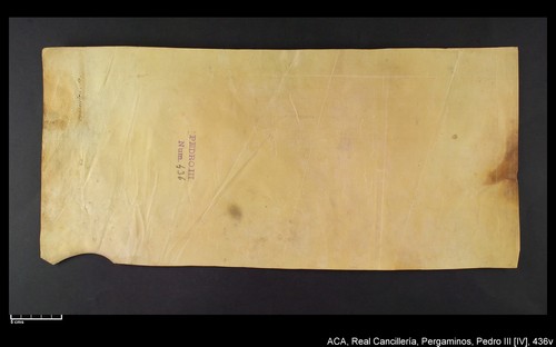 Cancillería,pergaminos,Pedro_IV,carp.243,nº436/ Época de Pedro IV. (25-07-1339)