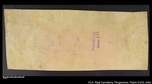 Cancillería,pergaminos,Pedro_IV,carp.243,nº444/ Época de Pedro IV. (1-09-1339)