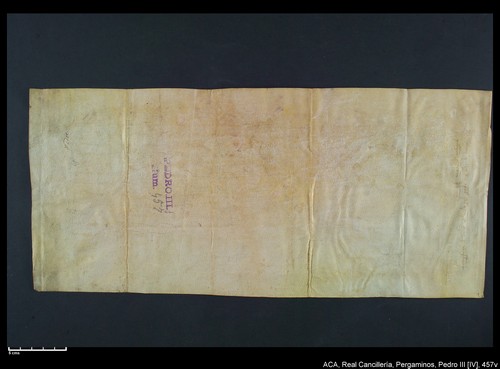 Cancillería,pergaminos,Pedro_IV,carp.244,nº457/ Época de Pedro IV. (6-01-1339)