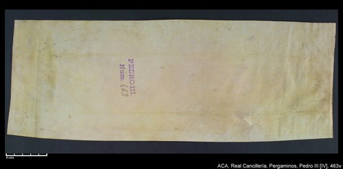 Cancillería,pergaminos,Pedro_IV,carp.244,nº463/ Época de Pedro IV. (27-01-1339)