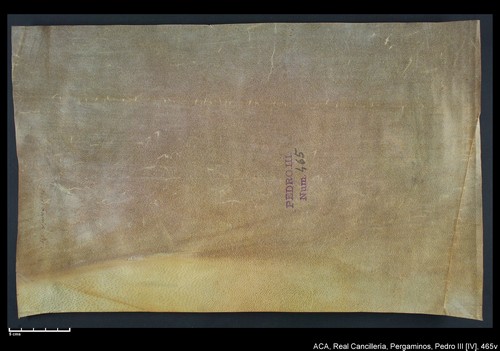 Cancillería,pergaminos,Pedro_IV,carp.244,nº465/ Época de Pedro IV. (1-02-1339)