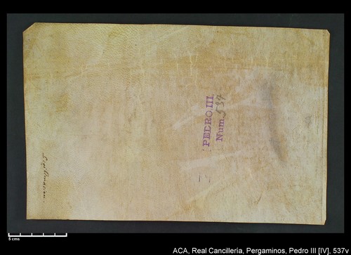 Cancillería,pergaminos,Pedro_IV,carp.245,nº537/ Época de Pedro IV. (21-05-1341)