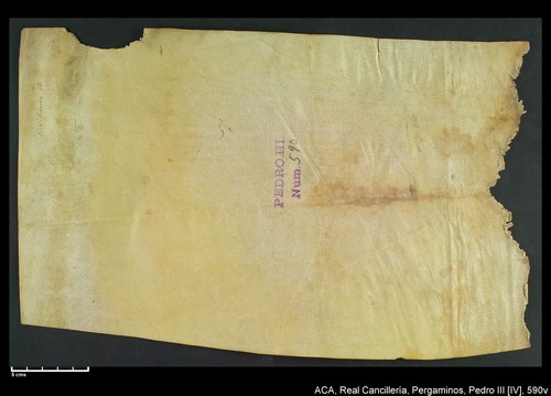 Cancillería,pergaminos,Pedro_IV,carp.246,nº590/ Época de Pedro IV. (4-05-1342)
