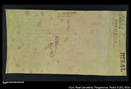 Cancillería,pergaminos,Pedro_IV,carp.253,nº853/ Época de Pedro IV. (29-07-1344)