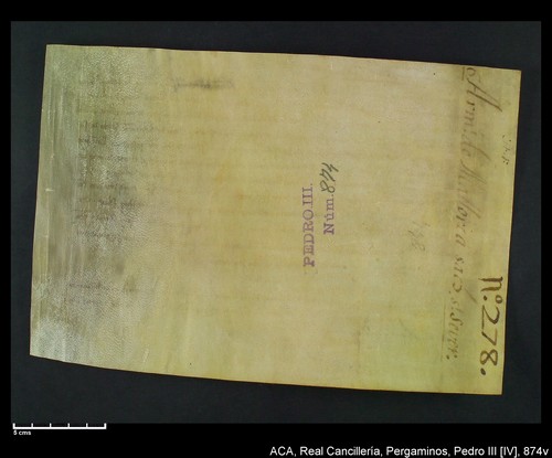 Cancillería,pergaminos,Pedro_IV,carp.253,nº874/ Época de Pedro IV. (3-08-1344)